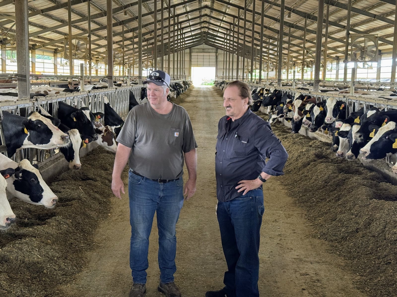 Jon Aleckson visiting a dairy farm